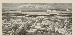 Monica Poole, Untitled, 'Driftwood' wood engraving