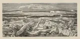 Monica Poole, Untitled, 'Driftwood' wood engraving