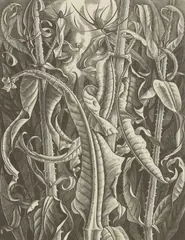 Monica Poole, Untitled, both signed 'Monica Poole' in pencil l.r.