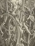 Monica Poole, Untitled, both signed 'Monica Poole' in pencil l.r.