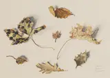 Harry More Gordon, Untitled, watercolour 23.5 x 31cm Provenance: With Francis Kyle Gallery