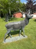 Tessa Campbell Fraser, Untitled, a bronze stag