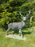 Tessa Campbell Fraser, Untitled, a bronze stag