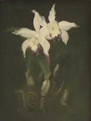 Untitled by Stuart Park, oil on canvas 38.5 x 30.5cm, sold May 2025