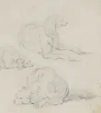 George Chinnery, Untitled, Three dog studies pencil 14.5 x 12cm