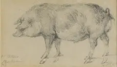 James Ward, Untitled, pencil 9.5 x 16cm