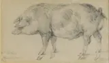 James Ward, Untitled, pencil 9.5 x 16cm