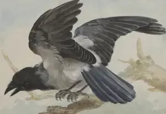 Aert Schouman, Untitled, watercolour 35 x 49.5cm Provenance: Henry Rogers Broughton
