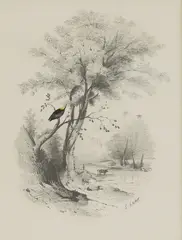 Edward Lear, Untitled, pencil
