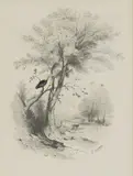 Edward Lear, Untitled, pencil