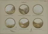 Vincent Balfour-Browne, Untitled, framed together with titles in brown ink below