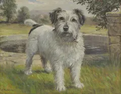 John Valentine, Untitled, oil on canvas 36 x 46cm