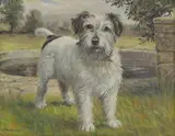 John Valentine, Untitled, oil on canvas 36 x 46cm