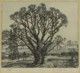 Stanley Roy Badmin, Untitled