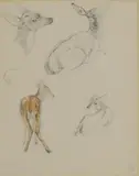 Sir Edwin Henry Landseer, Untitled, pencil and watercolour 22 x 17.5cm Provenance: From the collection of Malcolm Innes.