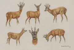 Brian Rawling, Untitled, watercolour 20 x 28.5cm Provenance: From the collection of Malcolm Innes.