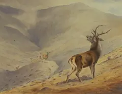 Frank Wallace, Untitled, watercolour 34 x 43cm Provenance: From the collection of Malcolm Innes.