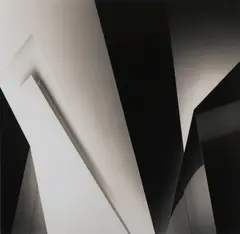 Hélène Binet, Untitled, 1993 silver g elatin print