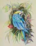 Joan Warburton, Untitled, watercolour 69.5 x 54cm