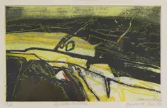 Barbara Rae, Untitled, 'Kylesku Hillside' etching in colours