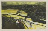 Barbara Rae, Untitled, 'Kylesku Hillside' etching in colours