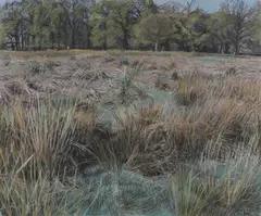 Christopher Bramham, Untitled, pastel 33 x 39cm
