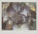 Mat Collishaw, Untitled, 1998 iris print from an edition of 10