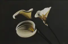 Guy Diehl, Untitled, acrylic on canvas 30.5 x 45.5cm Provenance: A p rivate collection