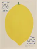David Shrigley, Untitled, 2021 offset lithograph in colours from an open edition sheet 80 x 60cm