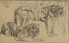 Untitled by Elsie Marion Henderson, Two tigers pastel 23 x 35.5cm Provenance: With Sally Hunter Fine Art, sold Apr 2025
