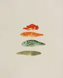 Elizabeth Blackadder, Untitled, p ublished by Glasgow Print Studio