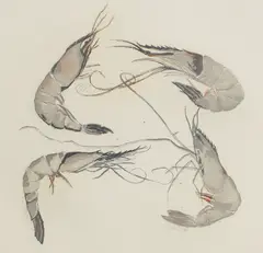 Untitled by Elizabeth Blackadder, published by Glasgow Print Studio, sold Apr 2025
