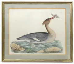 Untitled by Prideaux John Selby British, Female’ a hand coloured engraving plate LVII, sold Nov 2024