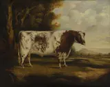 R G Brown, Untitled, oil on canvas 55 x 70.5cm