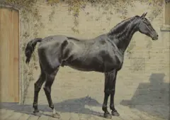 Joseph H Wallis, Untitled, watercolour over pencil 26 x 36cm Exhibited: The New Gallery