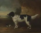 B Aplin Howe, Untitled, oil on canvas 50.5 x 61cm