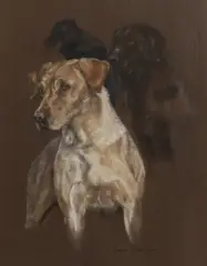 Debbie Gillingham, Untitled, pastel 52 x 41cm