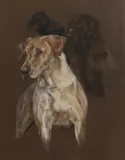 Debbie Gillingham, Untitled, pastel 52 x 41cm