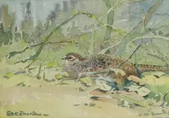 Eric Ennion, Untitled, watercolour 17 x 24cm