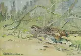 Eric Ennion, Untitled, watercolour 17 x 24cm