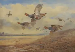 Untitled by Archibald Thorburn, watercolour and bodycolour 26 x 36cm Provenance: Sotheby's, sold Nov 2024