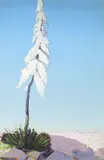Conrad Buff, Candle of God Plant, oil on board laid to wood