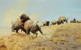 Ken Carlson, The Rivals