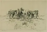 Elling William "Bill" Gollings, Fly Time, 1928, Etching, on wove paper
