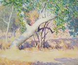William Clapp, Great Diagonal Trunk, oil on Masonite