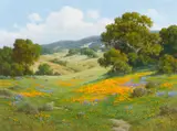 David Chapple, Santa Barbara Back Country