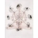 Carlos Estévez, Mutuaciones de la personalidad (Mutations of personality), 1999, Mixed media