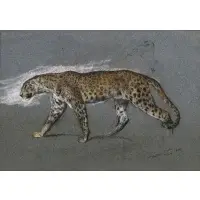 Arthur Wardle, Leopard, Graphite and pastel on blue paper