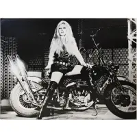 Russell Young, Brigitte Bardot in Atomic Silver, 2008, Acrylic paint, Silkscreen ink and enamel on linen