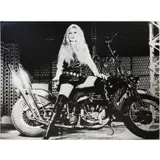 Russell Young, Brigitte Bardot in Atomic Silver, 2008, Acrylic paint, Silkscreen ink and enamel on linen